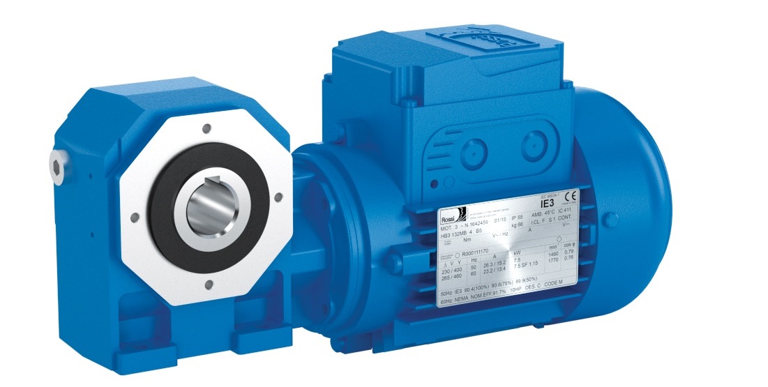 Rossi AS Series Worm Gearmotor